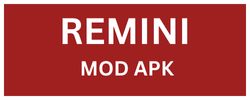 Desktop_logo_Remini_Mod_Apk