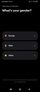 Remini Mod Apk