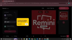 remini web